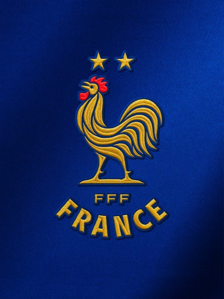 France National Team Unveils New Official Logo